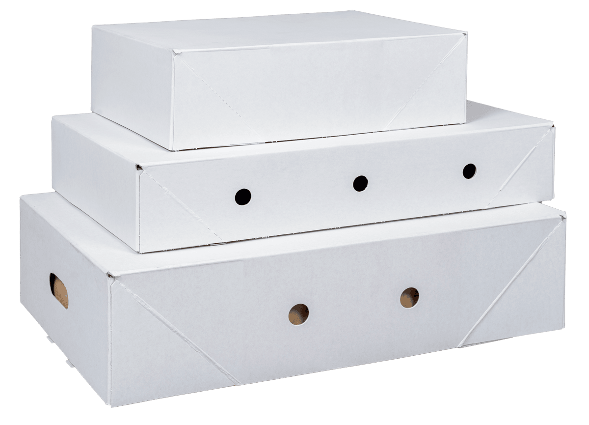 Solid Board Boxes